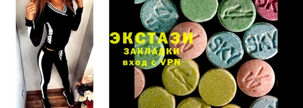 шишки Магас