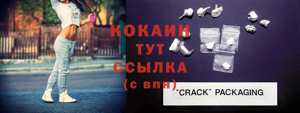 шишки Магас