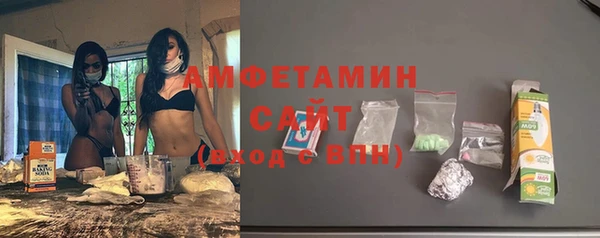 шишки Магас