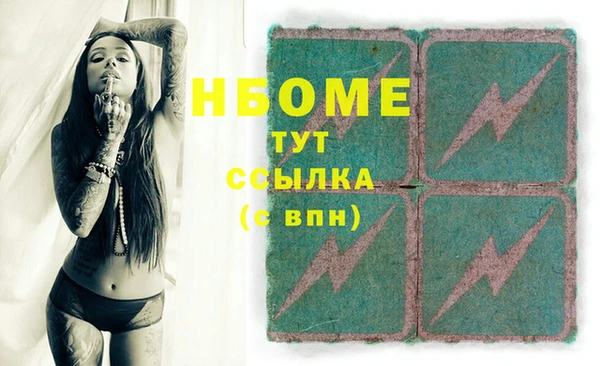 шишки Магас