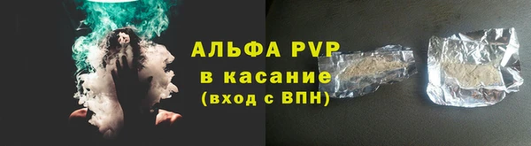 шишки Магас