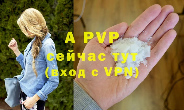 шишки Магас