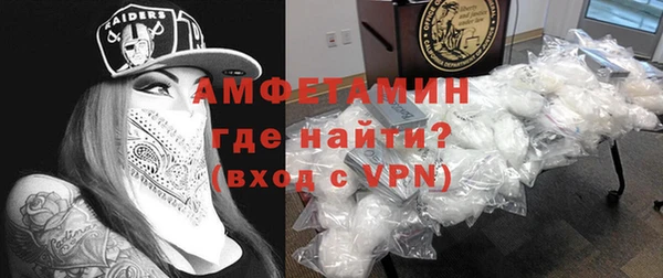 шишки Магас