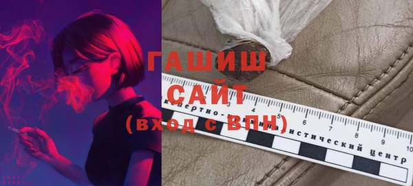 шишки Магас